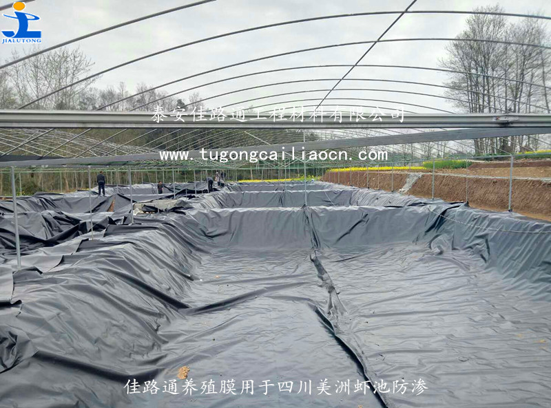 四川美洲蝦池采用佳路通養(yǎng)殖防滲膜