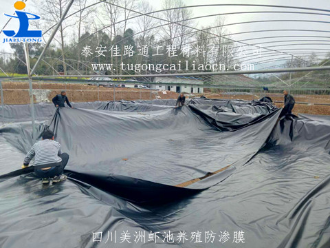 四川美洲蝦池采用佳路通養(yǎng)殖防滲膜