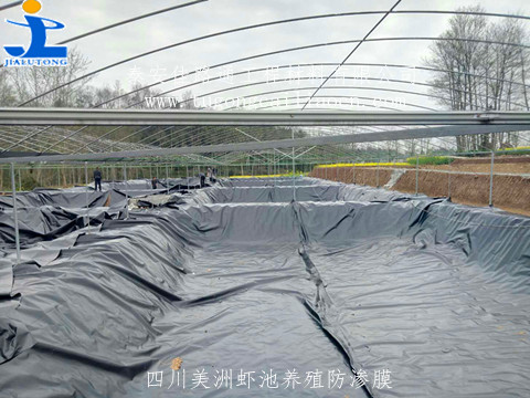 四川美洲蝦池采用佳路通養(yǎng)殖防滲膜