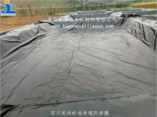 四川美洲蝦池采用佳路通養(yǎng)殖防滲膜