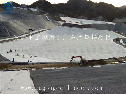 防滲土工膜用于廣東垃圾場 防滲土工膜用于廣東垃圾場