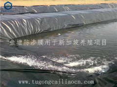 魚塘防滲膜用于新加坡養(yǎng)殖項(xiàng)目