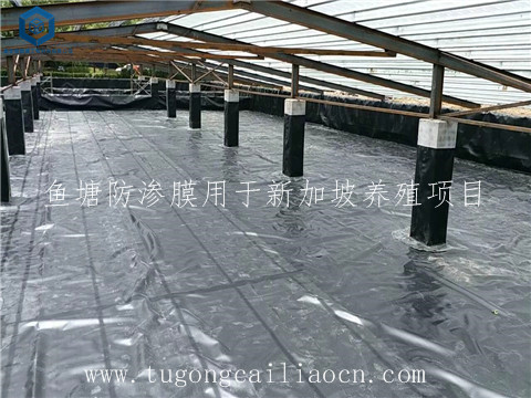 魚塘防滲膜用于新加坡養(yǎng)殖 魚塘防滲膜用于新加坡養(yǎng)殖