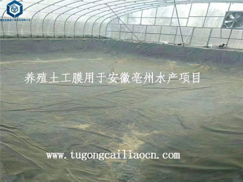 養(yǎng)殖土工膜用于安徽水產(chǎn)項(xiàng)目 養(yǎng)殖土工膜用于安徽水產(chǎn)項(xiàng)目