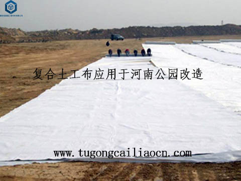 復合土工布用于公園改造