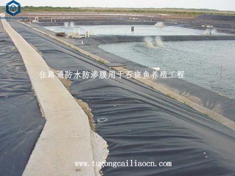 防水防滲膜用于石斑魚養(yǎng)殖