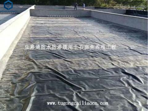 防水防滲膜用于石斑魚養(yǎng)殖