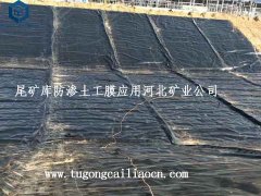 尾礦庫防滲土工膜應(yīng)用河北科技礦業(yè)公司