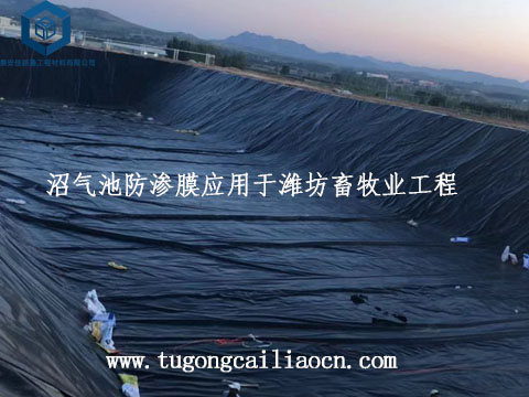 沼氣池防滲膜應(yīng)用于濰坊畜牧業(yè)工程 沼氣池防滲膜應(yīng)用于濰坊畜牧業(yè)工程
