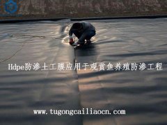 Hdpe防滲土工膜應(yīng)用于觀(guān)賞魚(yú)養(yǎng)殖防滲工程
