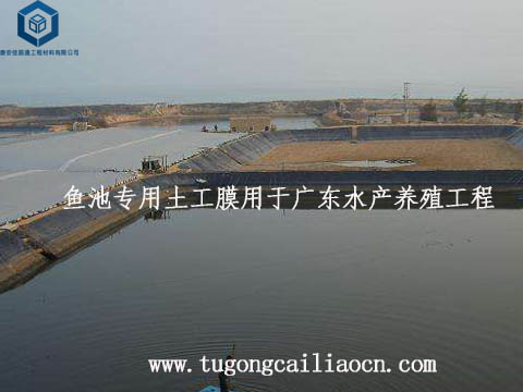 魚(yú)池專(zhuān)用土工膜用于廣東水產(chǎn)養(yǎng)殖工程