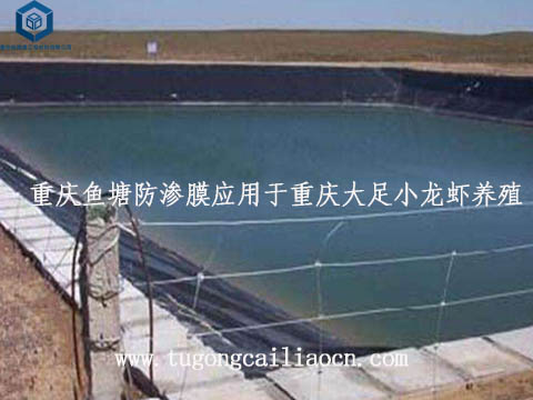 重慶魚塘防滲膜用于小龍蝦養(yǎng)殖