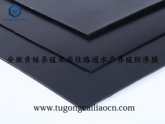 安徽黃鱔養(yǎng)殖采用佳路通水產(chǎn)養(yǎng)殖防滲膜