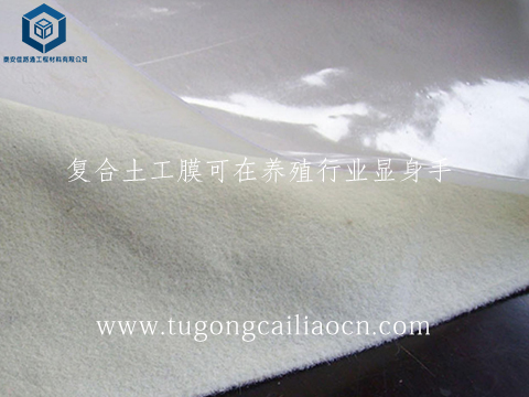 復(fù)合土工膜可在養(yǎng)殖行業(yè)顯身手