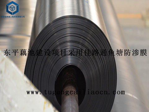 東平藕池建設(shè)項目采用佳路通魚塘防滲膜 東平藕池建設(shè)項目采用佳路通魚塘防滲膜