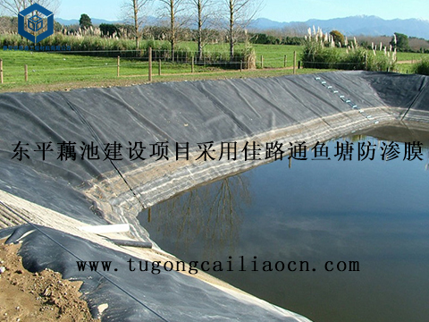 東平藕池建設(shè)項目采用佳路通魚塘防滲膜 東平藕池建設(shè)項目采用佳路通魚塘防滲膜