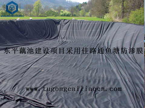 東平藕池建設(shè)項目采用佳路通魚塘防滲膜 東平藕池建設(shè)項目采用佳路通魚塘防滲膜