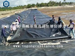 湖南小龍蝦養(yǎng)殖基地選擇魚塘防滲土工膜