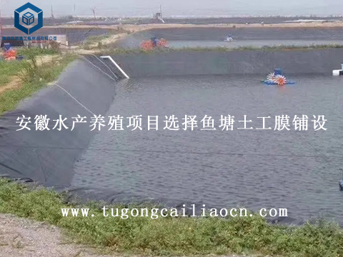 安徽水產(chǎn)養(yǎng)殖項目選擇魚塘土工膜鋪設(shè) 安徽水產(chǎn)養(yǎng)殖項目選擇魚塘土工膜鋪設(shè)