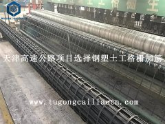 天津高速公路項目選擇鋼塑土工格柵加筋
