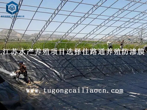 江蘇水產(chǎn)養(yǎng)殖項(xiàng)目選擇佳路通養(yǎng)殖防滲膜 江蘇水產(chǎn)養(yǎng)殖項(xiàng)目選擇佳路通養(yǎng)殖防滲膜