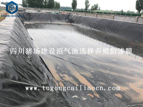 四川豬場(chǎng)建設(shè)沼氣池選擇養(yǎng)殖防滲膜 四川豬場(chǎng)建設(shè)沼氣池選擇養(yǎng)殖防滲膜