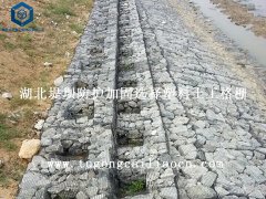 湖北堤壩防護(hù)加固選擇塑料土工格柵