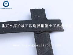 北京水庫護(hù)坡工程選擇鋼塑土工格柵鋪設(shè)
