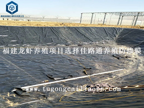 福建龍蝦養(yǎng)殖項目選擇佳路通養(yǎng)殖防滲膜 福建龍蝦養(yǎng)殖項目選擇佳路通養(yǎng)殖防滲膜