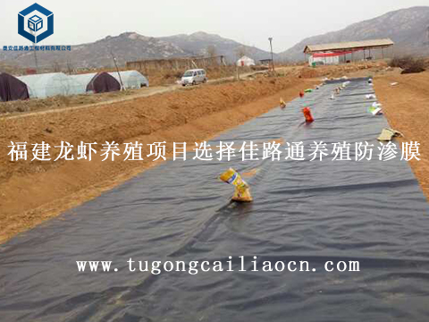 福建龍蝦養(yǎng)殖項目選擇佳路通養(yǎng)殖防滲膜 福建龍蝦養(yǎng)殖項目選擇佳路通養(yǎng)殖防滲膜