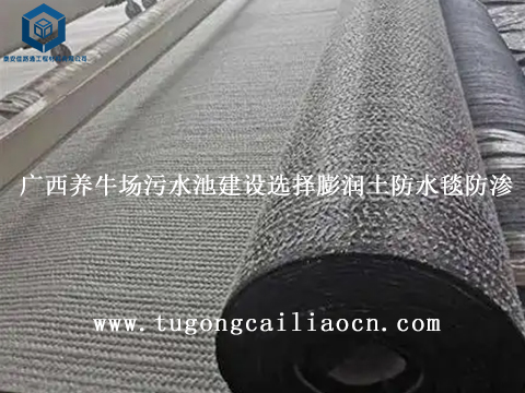 廣西養(yǎng)牛場(chǎng)污水池建設(shè)選擇膨潤(rùn)土防水毯防滲