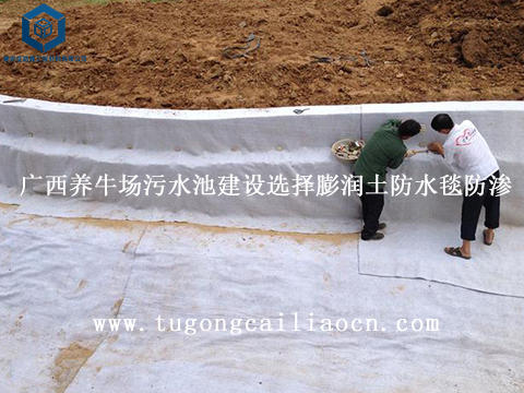廣西養(yǎng)牛場(chǎng)污水池建設(shè)選擇膨潤(rùn)土防水毯防滲