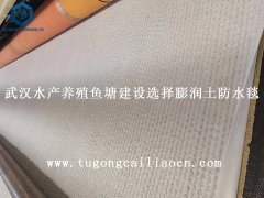 武漢水產(chǎn)養(yǎng)殖魚塘建設(shè)選擇膨潤土防水毯